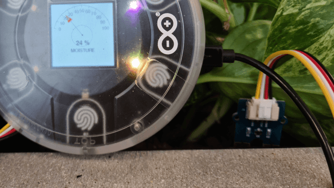 Moisture sensor in a plant.