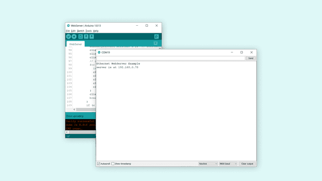 Printing the IP address.